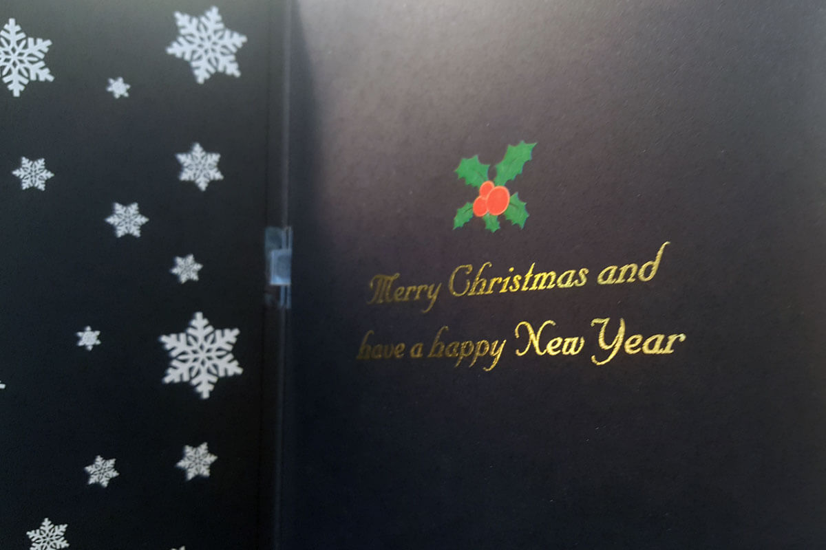 Custom Talking Greeting Cards soundCARD bigDAWGS