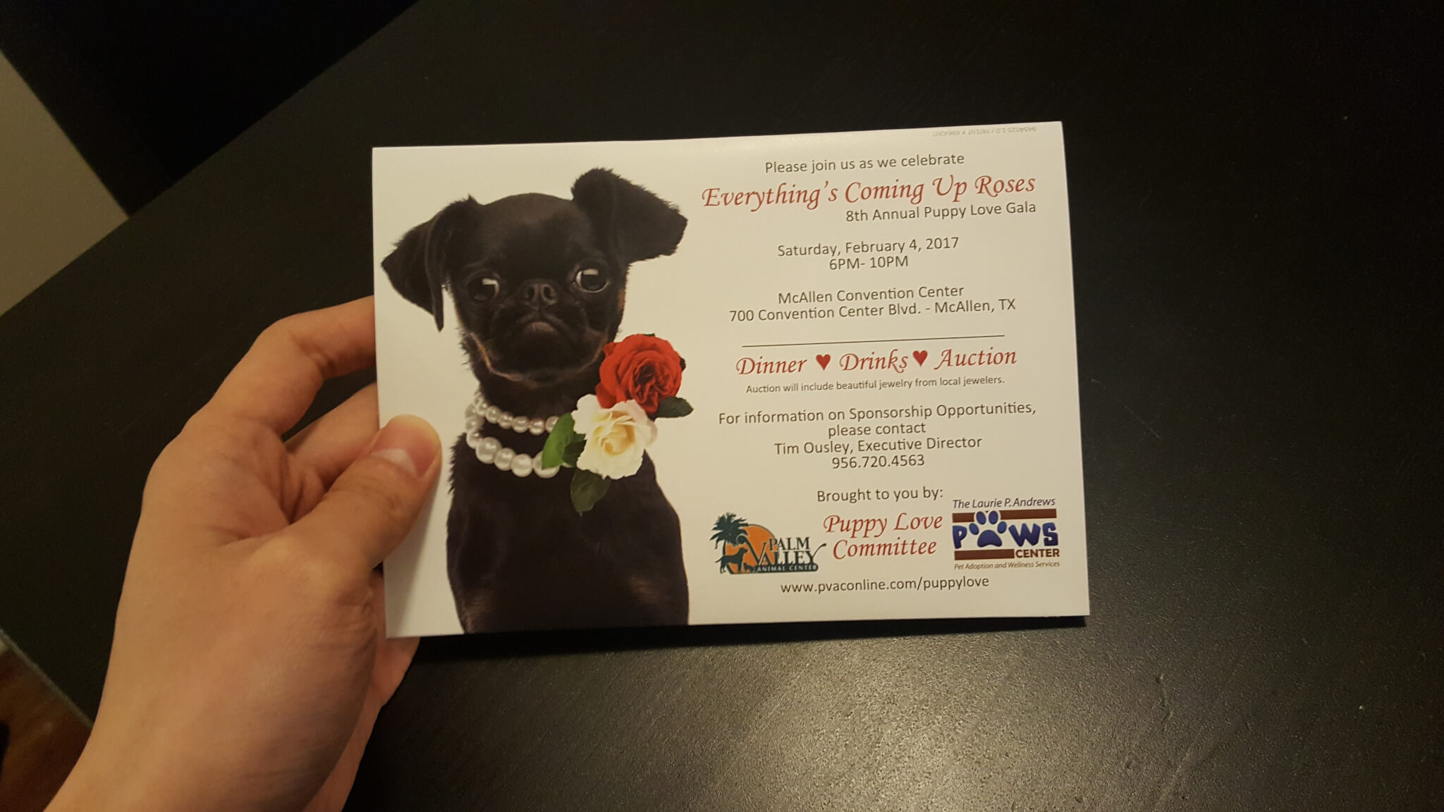 palm valley adoption center