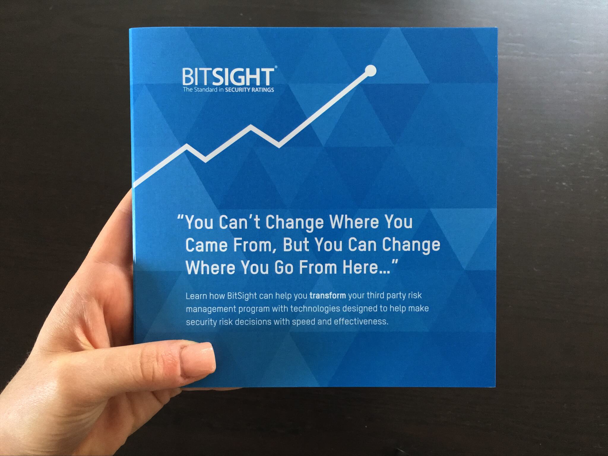 BitSight Technologies Inc. Custom Video Book bigDAWGS